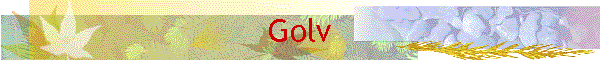 Golv