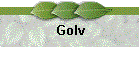 Golv