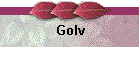 Golv