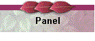 Panel